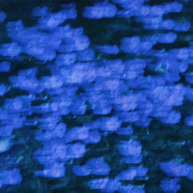 the piece immerses the reader in a deep cerulean blue, as if